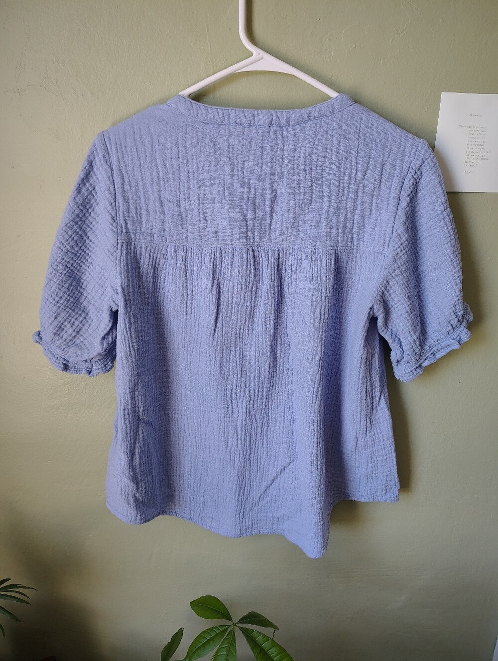 BeachLunchLounge Women's Small 100% Cotton Light Blue Button-Front Top - Picture 7 of 10